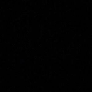 Meet your Posher, Allie